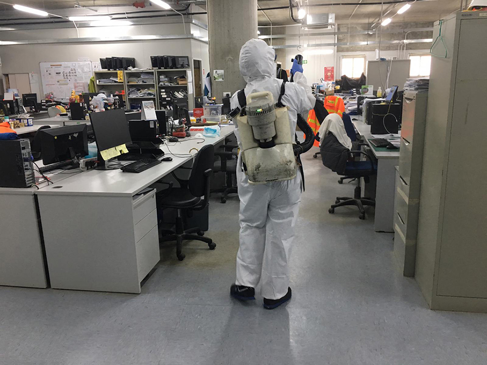滅蟲現場
