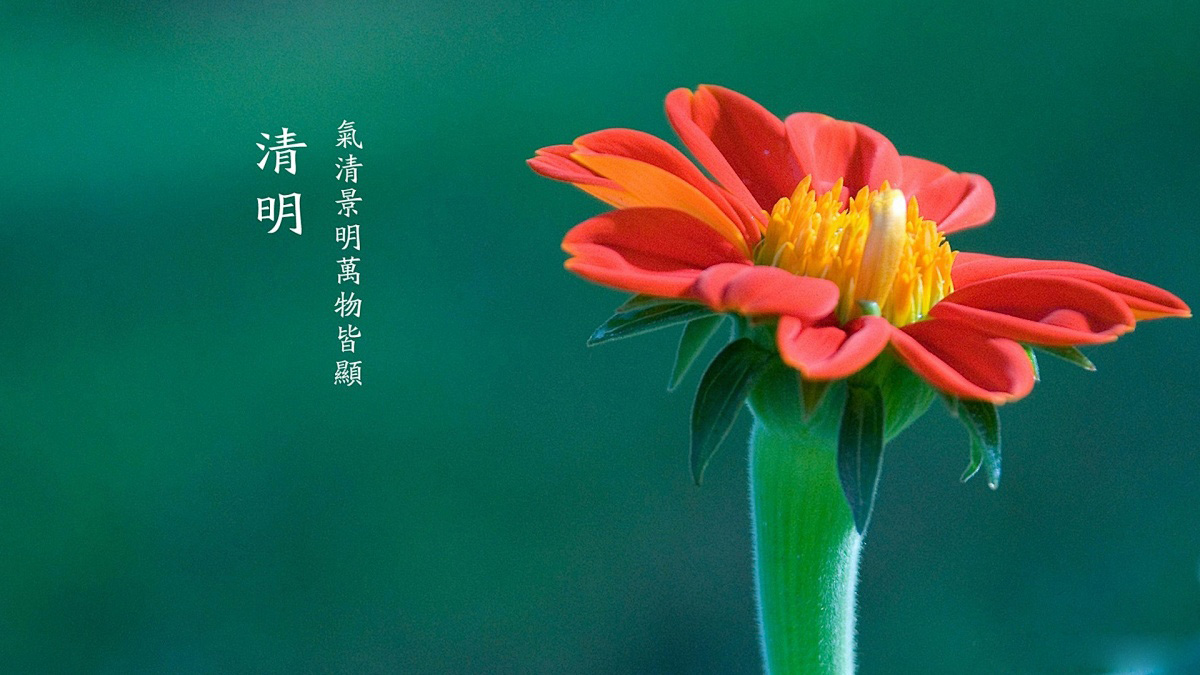 粤尚科技清明节放假通知