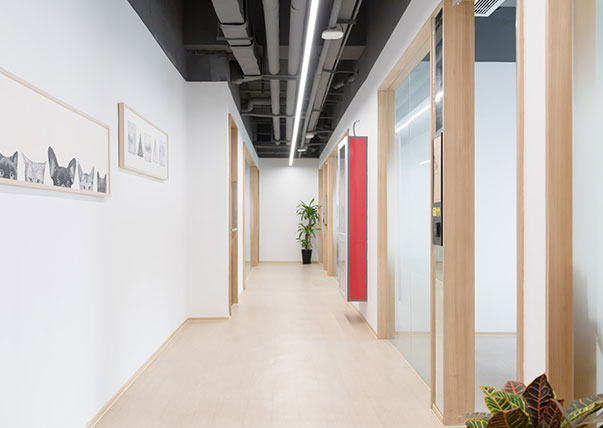 图片展示