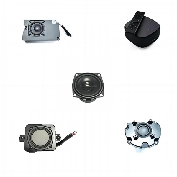 Speaker Module