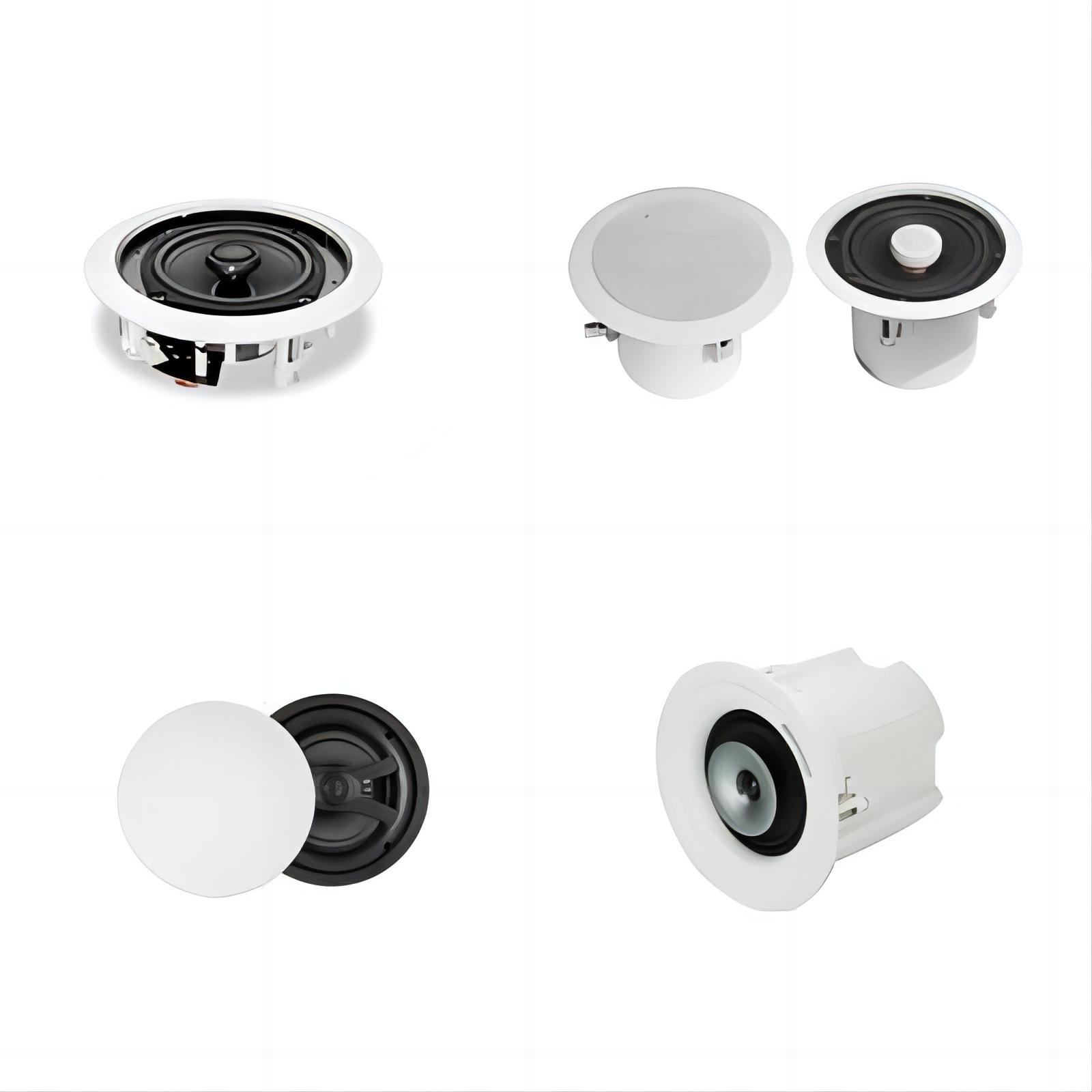 Ceiling / In Wall Speaker