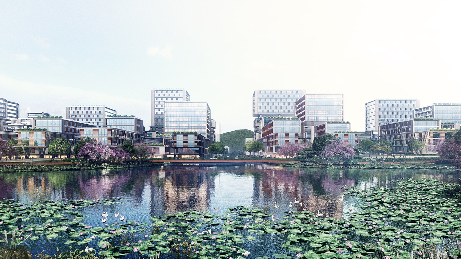 图片展示
