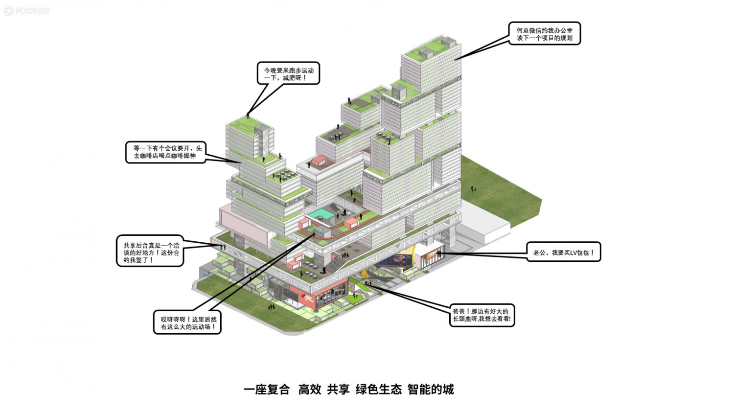 图片6