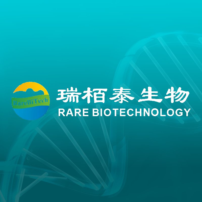 瑞柏泰生物