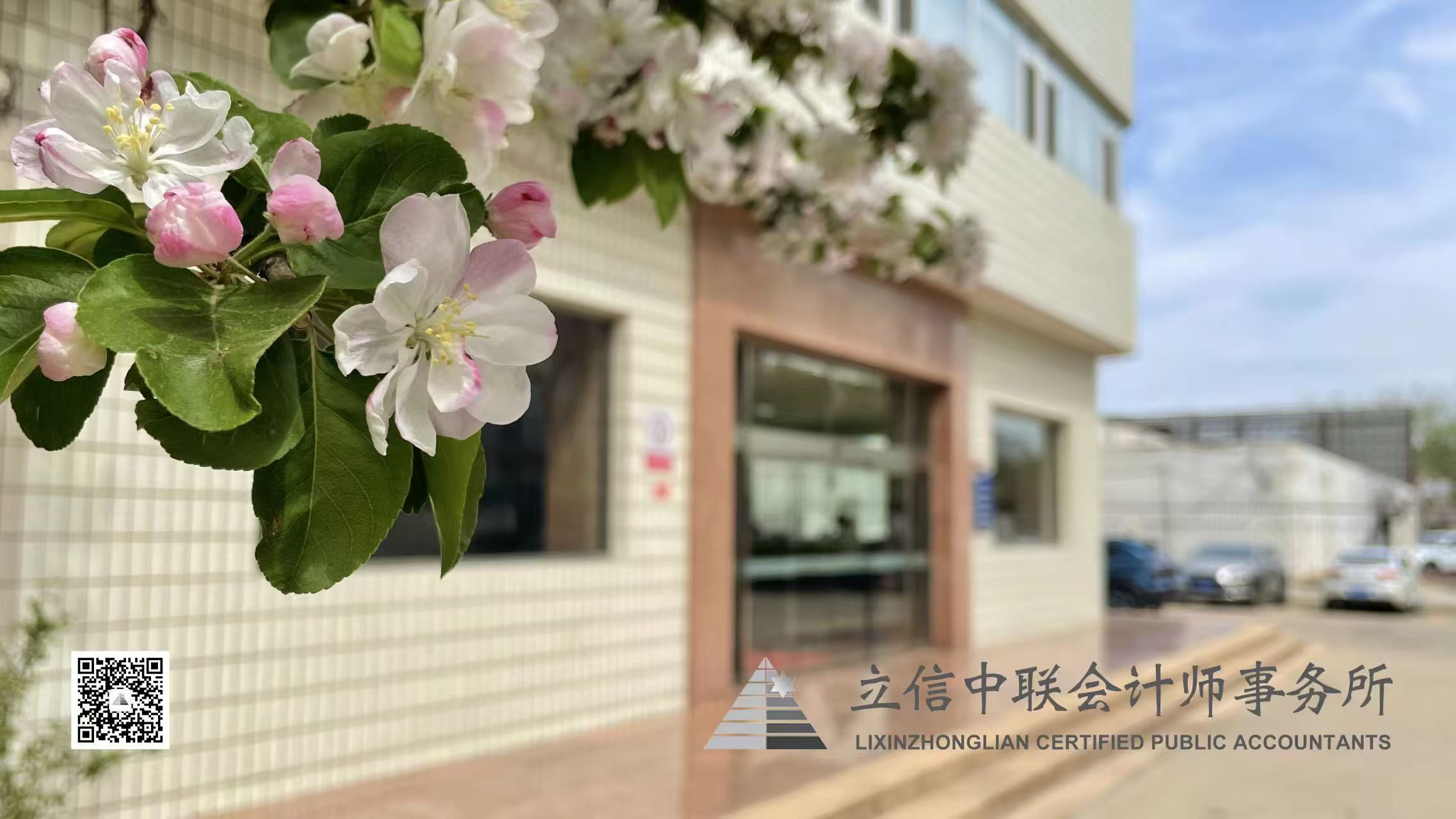 图片展示