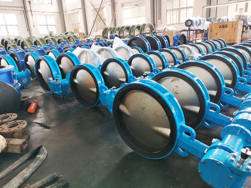 How many types of valves are classified by function and purpose