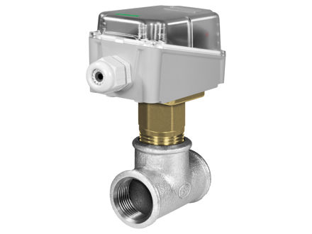 REGIN  液体流量开关 FLS308X