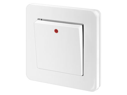 REGIN  带指示灯泡的按钮 PBIE