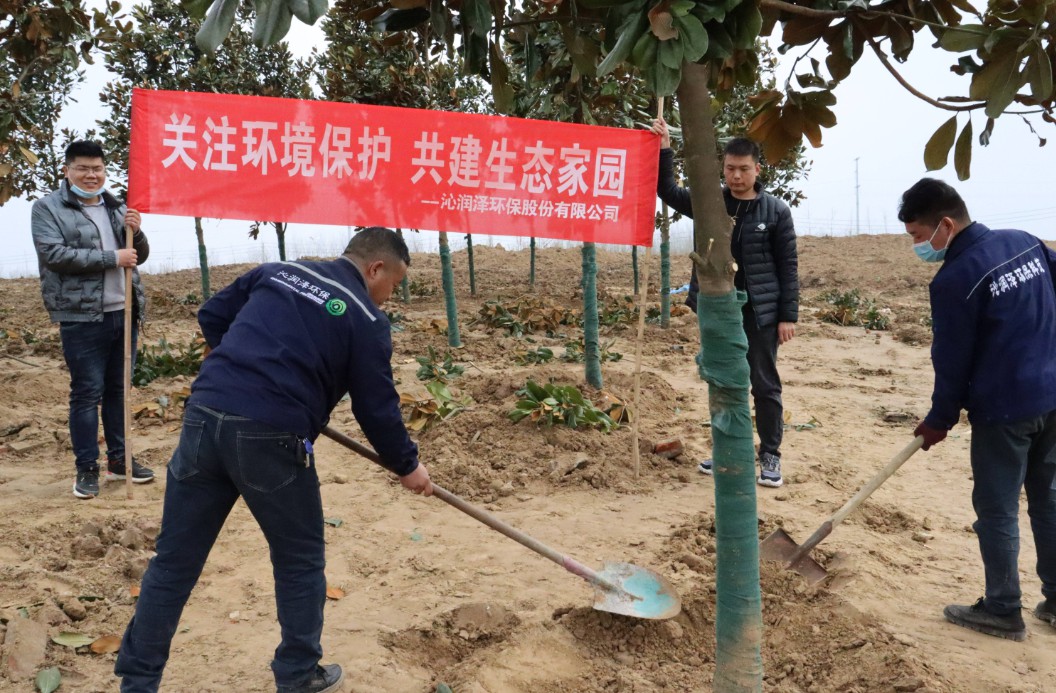 植树节，让我们关注环境保护，共建生态家园！(图3)