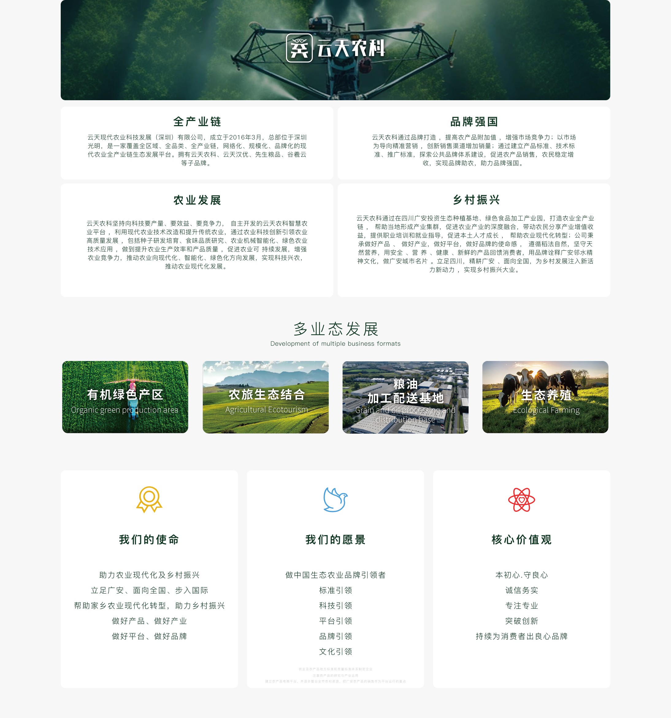 图片展示