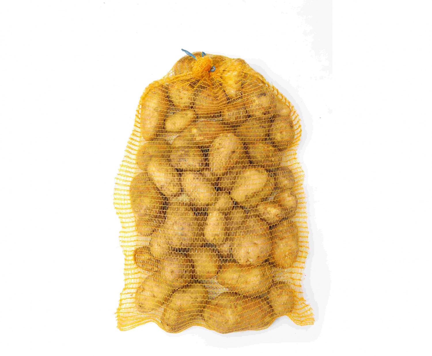 Raschel Mesh Bags 