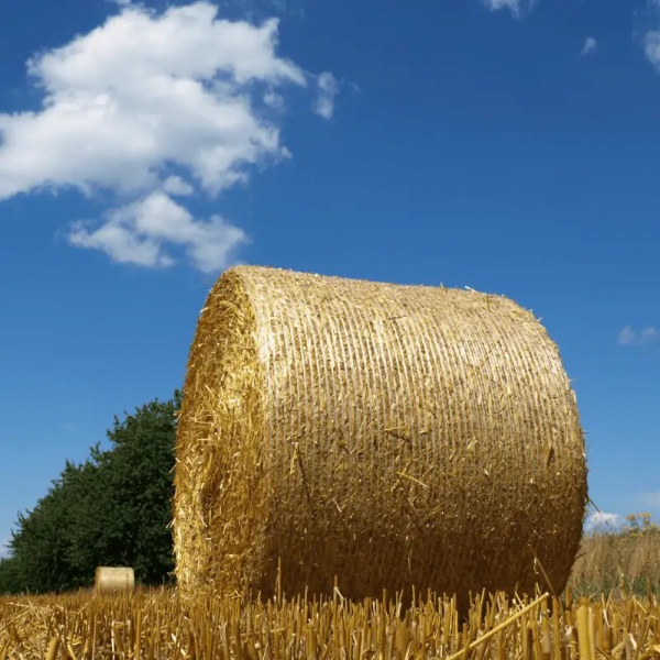 Net Wrap