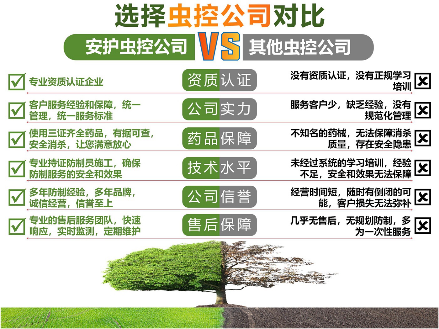 虫控网站首页大图_01