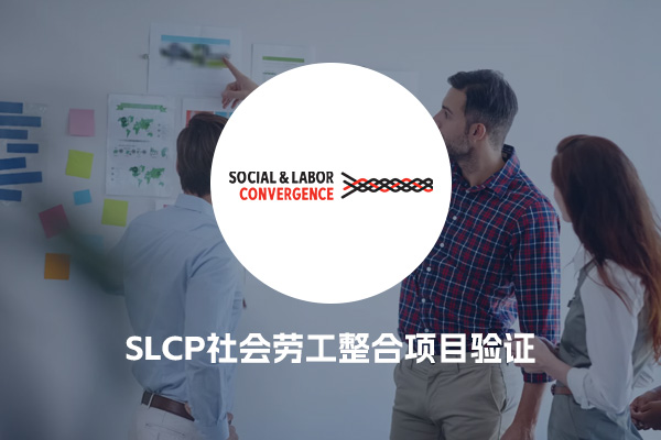 SLCP社会劳工整合项目验证