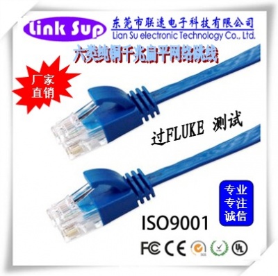 六类扁平网线