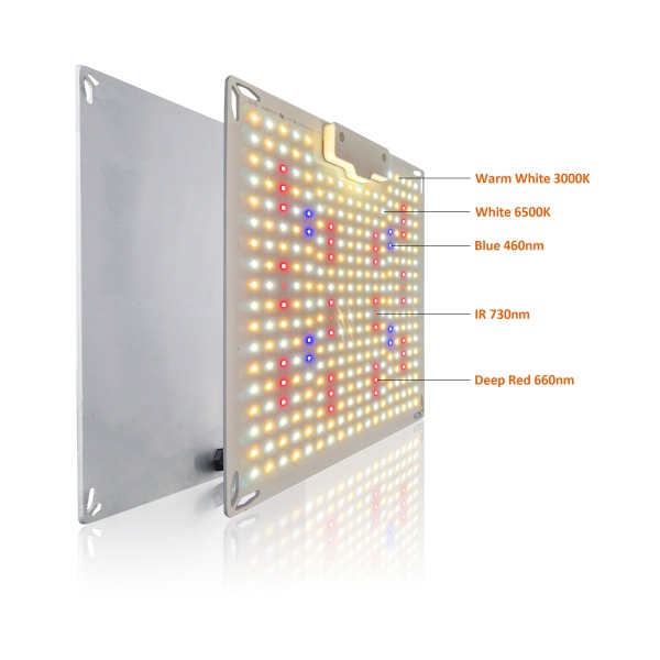 Quantum Board 100W 