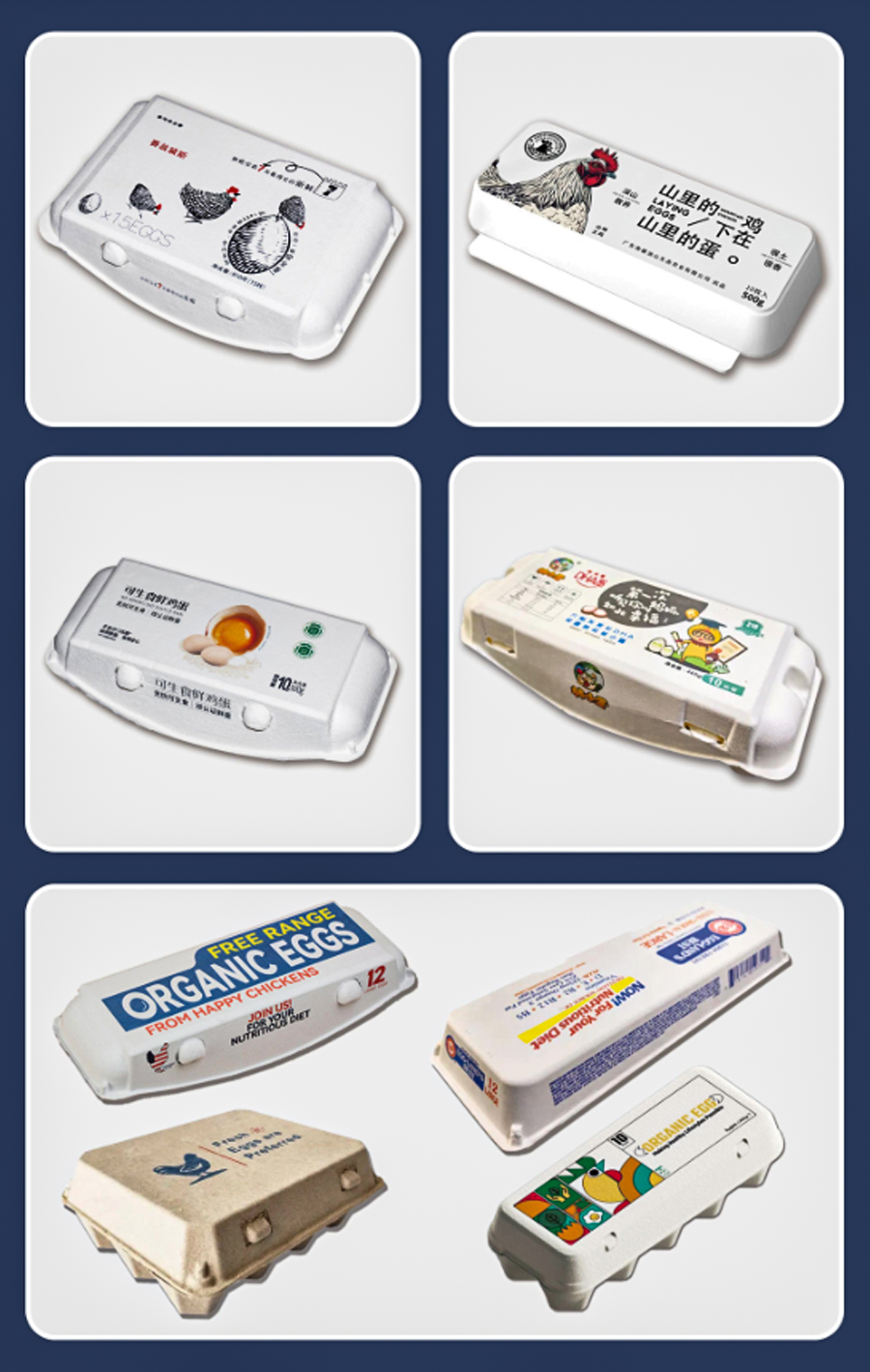 Pulp-Egg-Carton-Digital-Printing-Machine