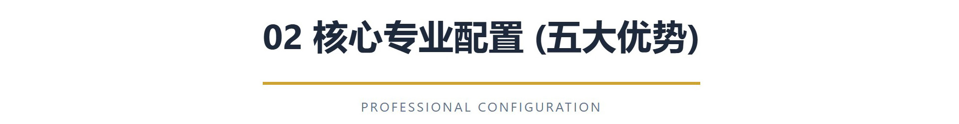 声盾的核心专业配置
