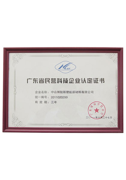 广东省民营科技企业认定书