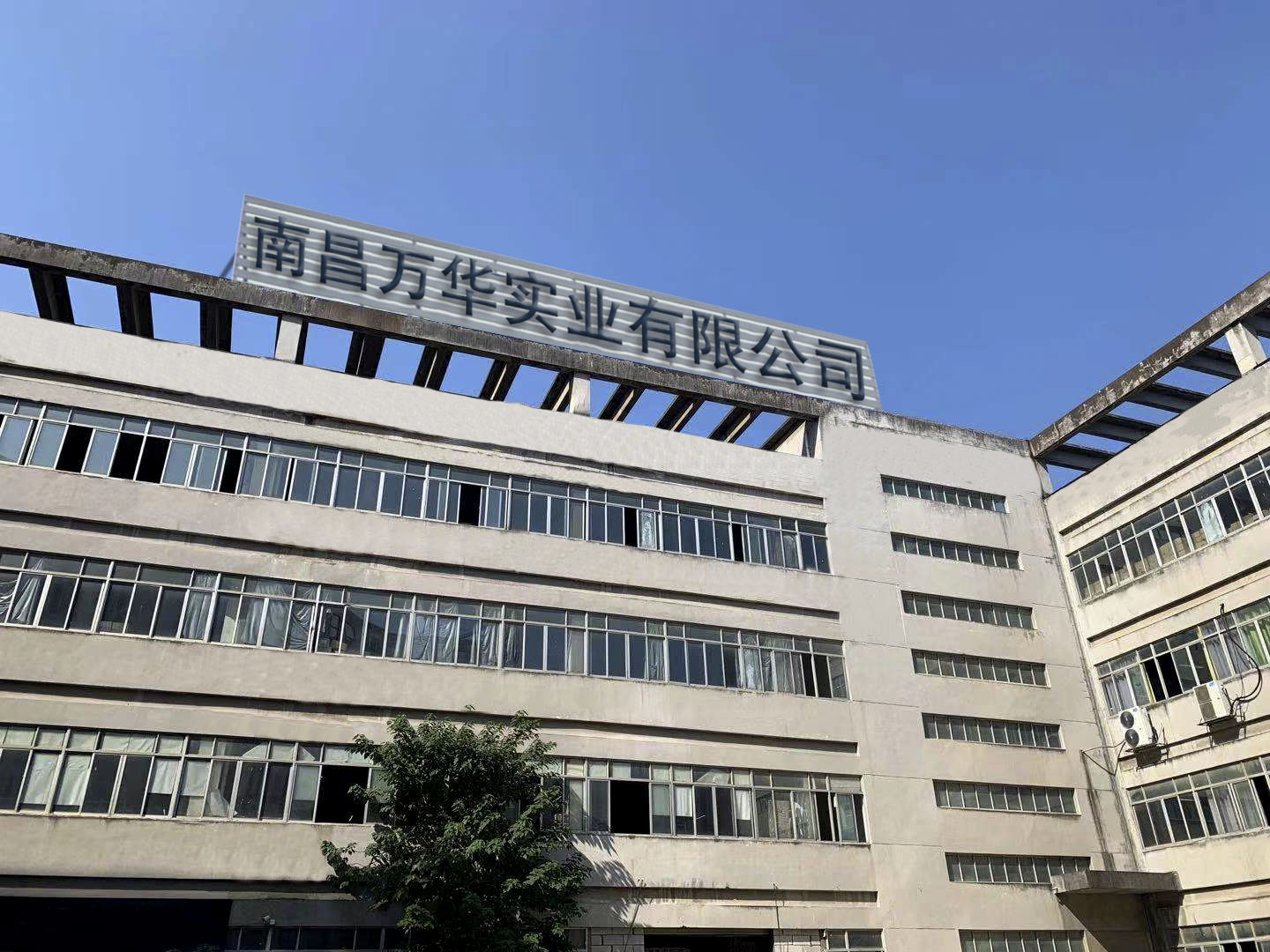 图片展示