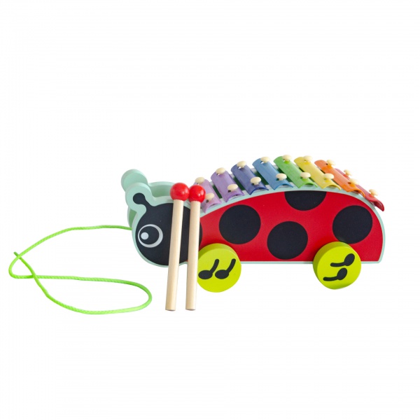 Instrument Educational Musical Toys OEM Wooden Xylophone Manufacture for Kids
