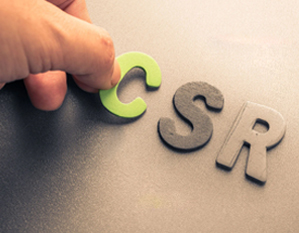 CSR Internal Auditor Training