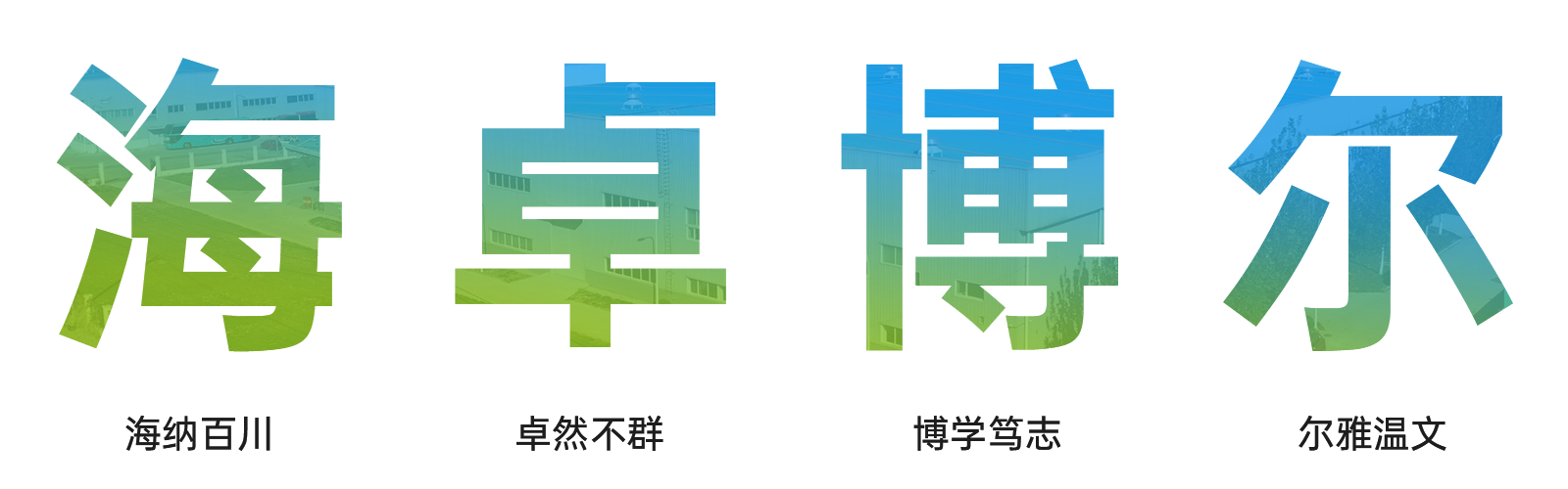 图片展示