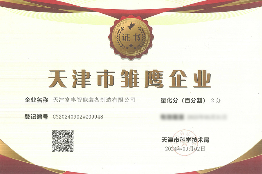 天津市雏鹰企业