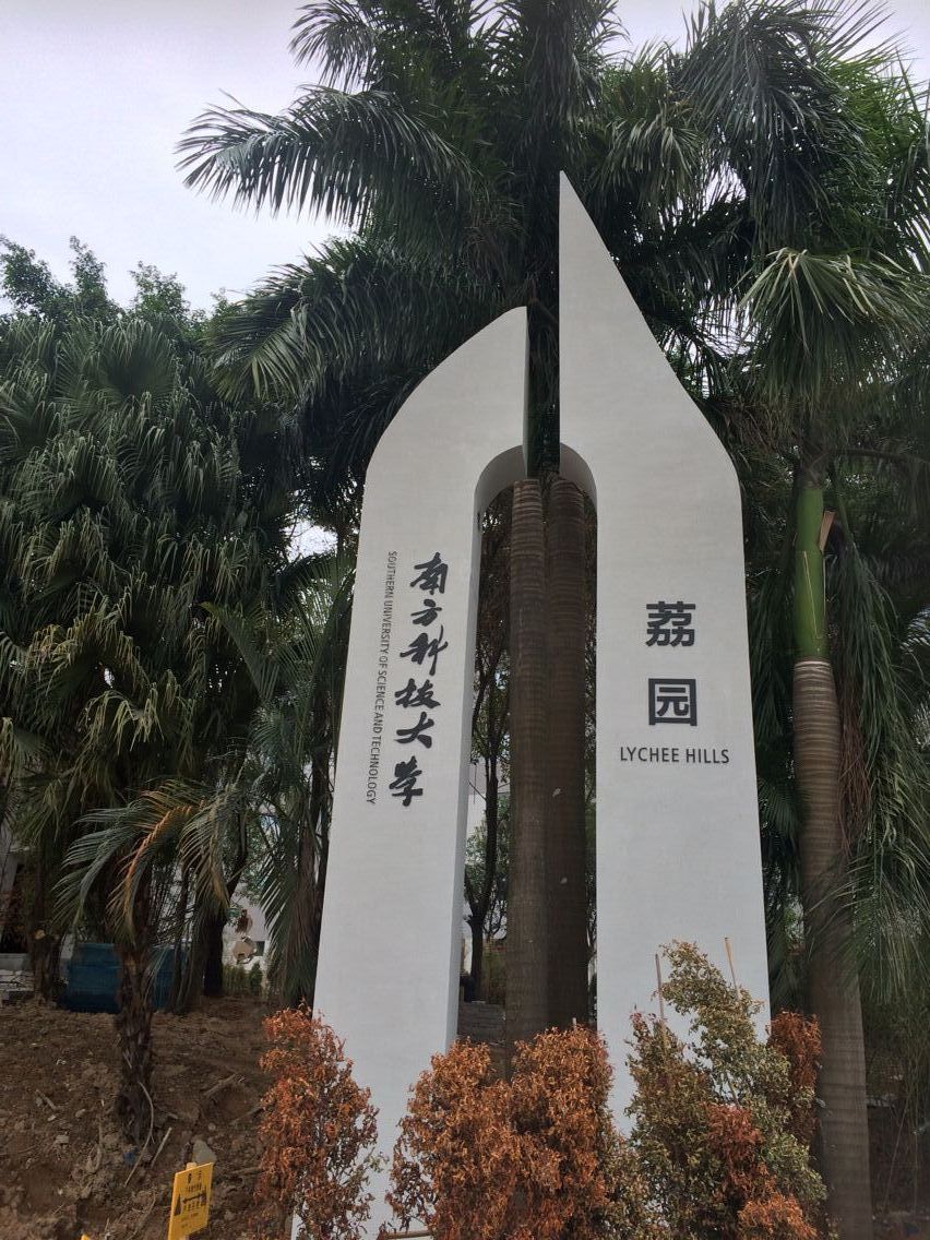 南科大