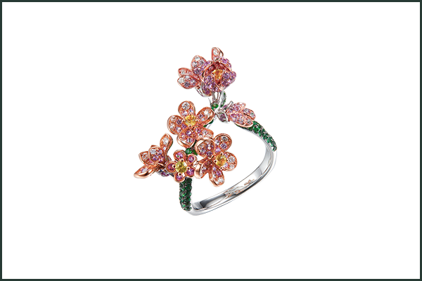 Bloom on the Path 