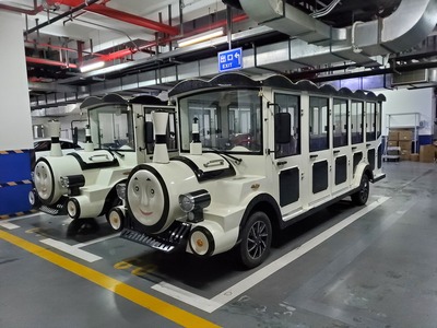 上海某酒店购买新款电动小火车