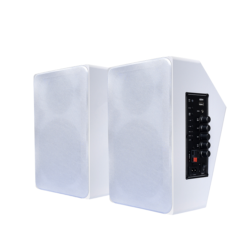 Wall Mount Speaker 