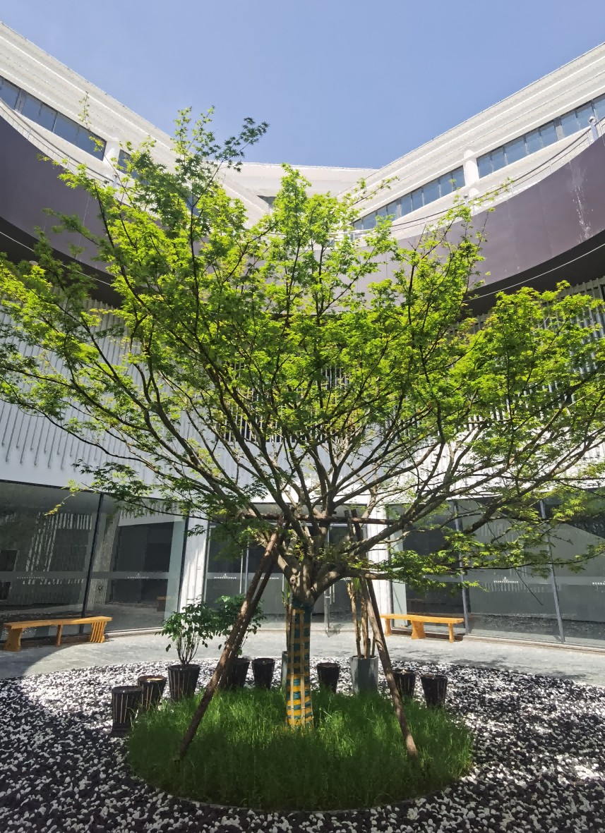 图片展示
