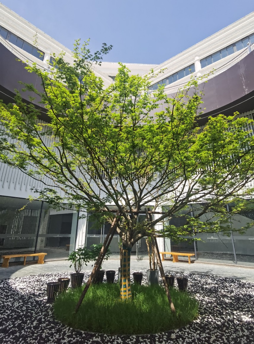 图片展示