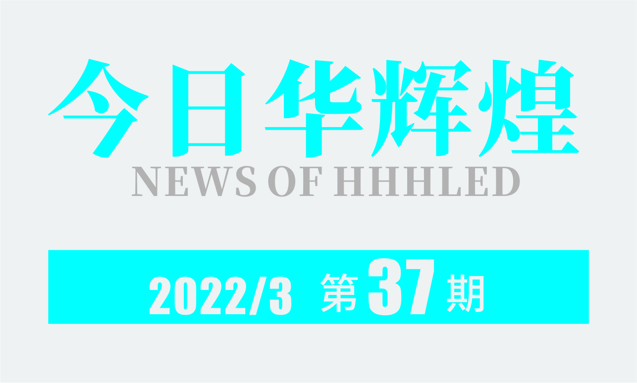 第37期内刊