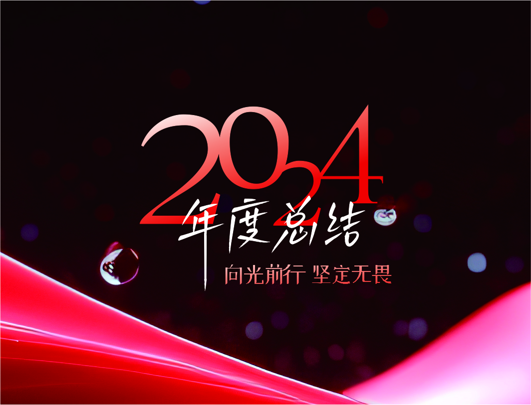 年度盘点：2024年的亮点与挑战