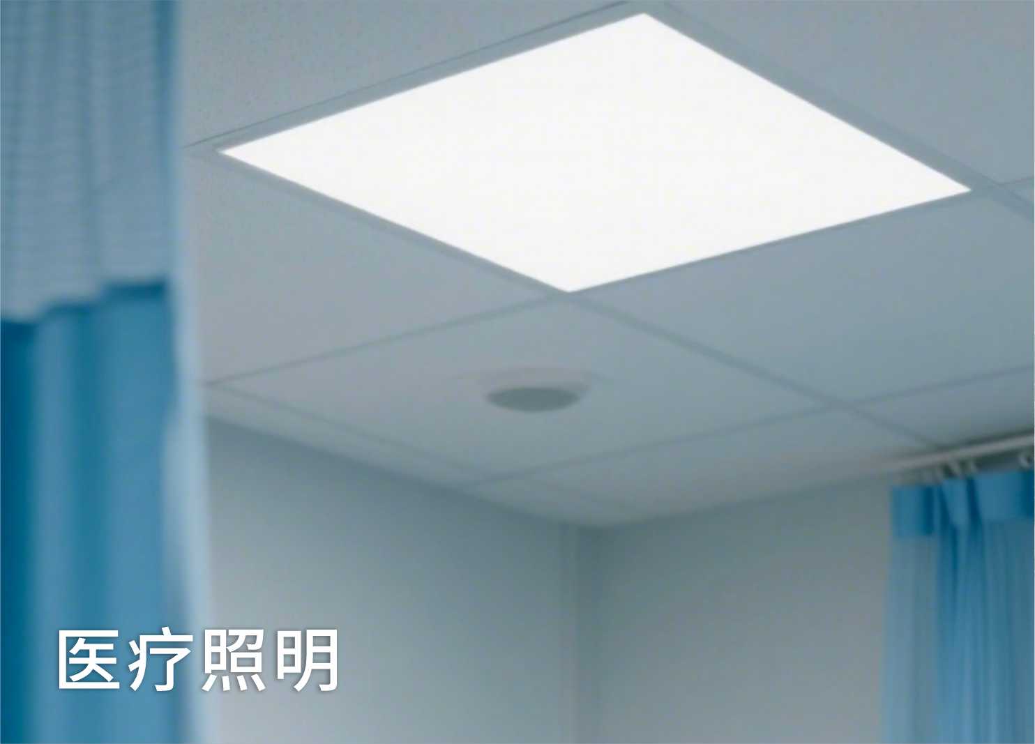 光生态链