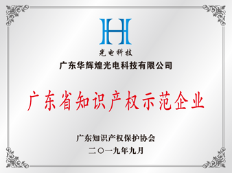 广东省知识产权示范企业