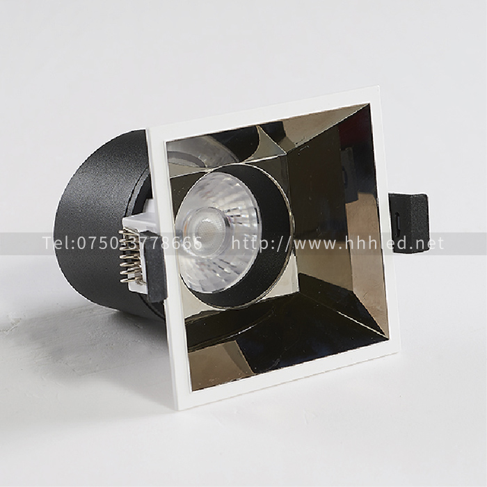 R006-75X75-9W lens