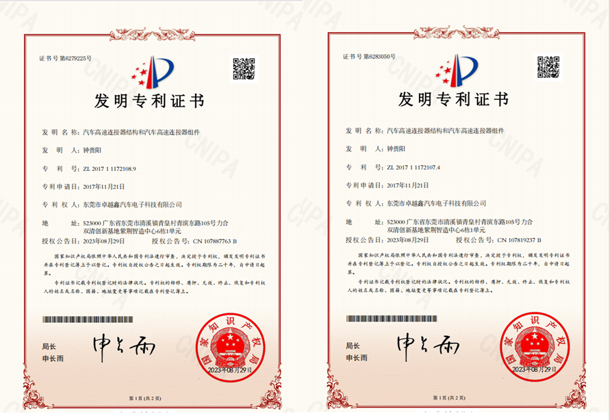 发明专利 (2)