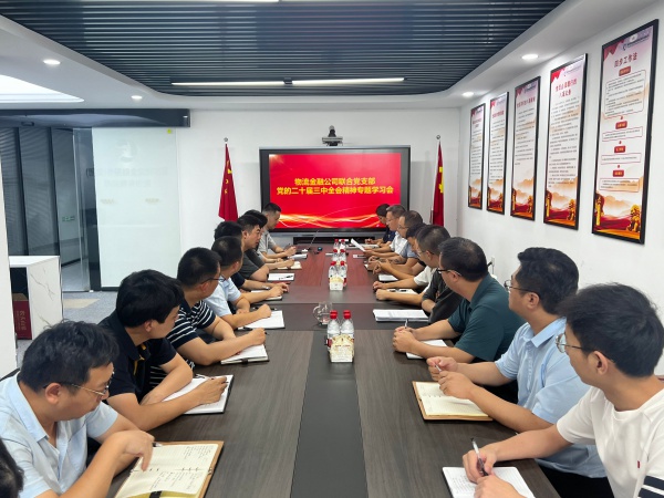 物流金融公司联合党支部组织开展党的二十届三中全会精神专题学习会