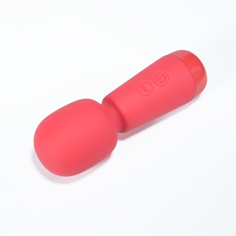 AA17-IVY-MicroMini vibrator wand