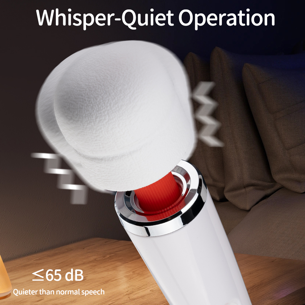 E01P02 Plug in Wand Massager