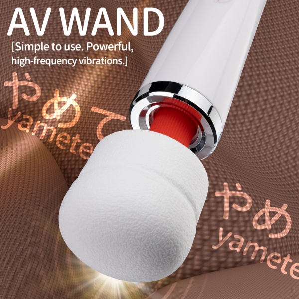 E01P02 Plug in Wand Massager
