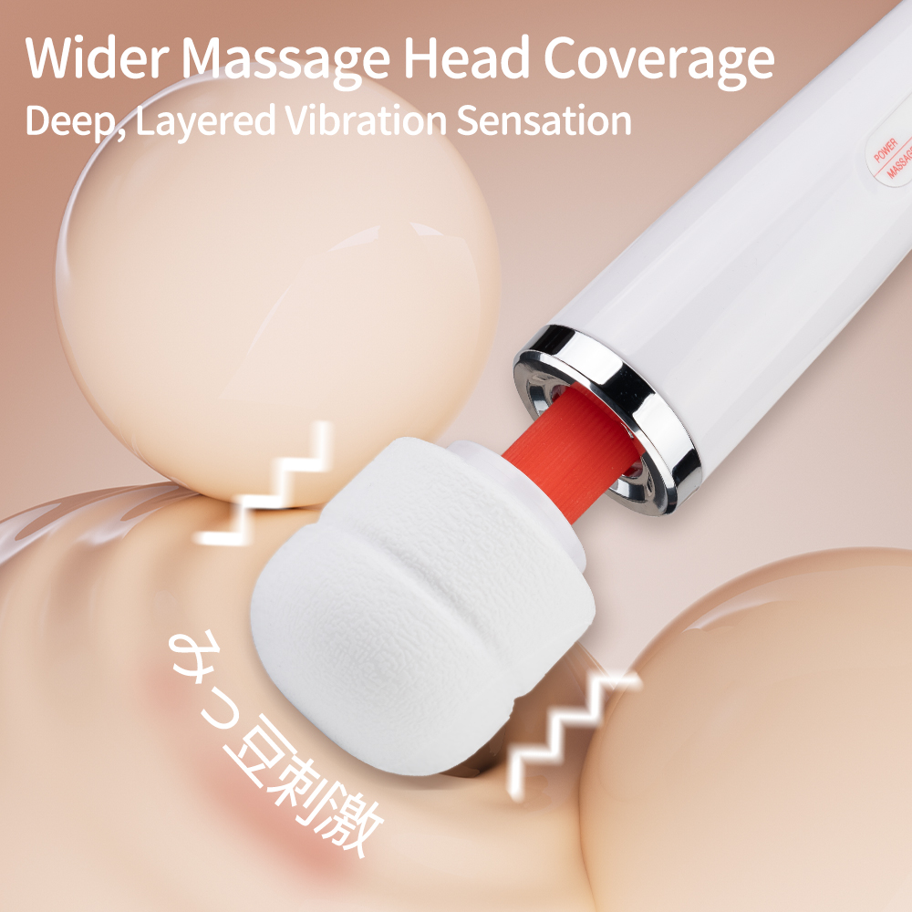 E01P02 Plug in Wand Massager