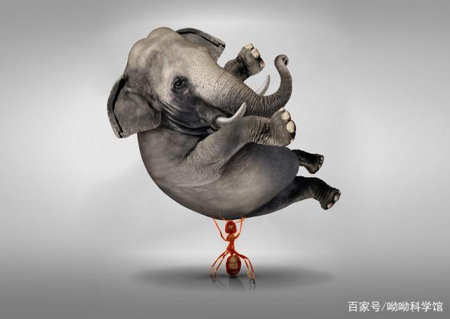 2022，我们负重前行！