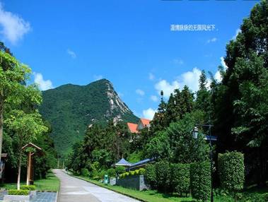 正藍實業組織員工深圳老虎溝農家樂集體秋遊