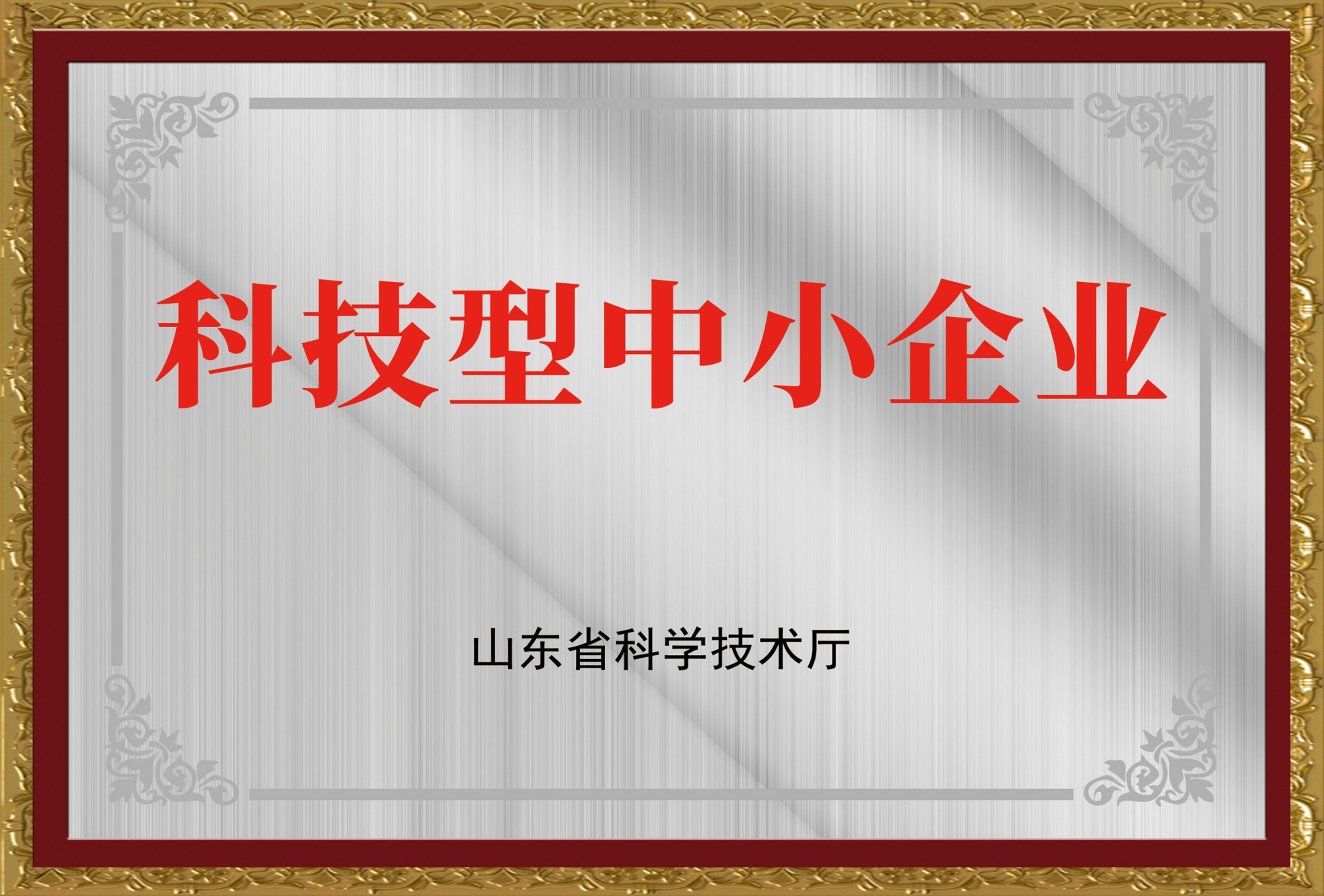 科技型中小企业