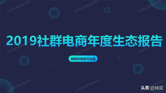 2019社群电商年度生态报告