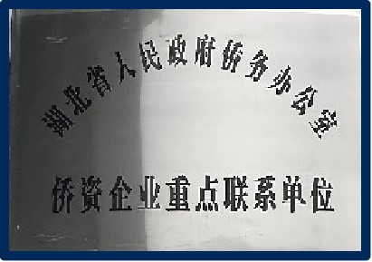 图片38